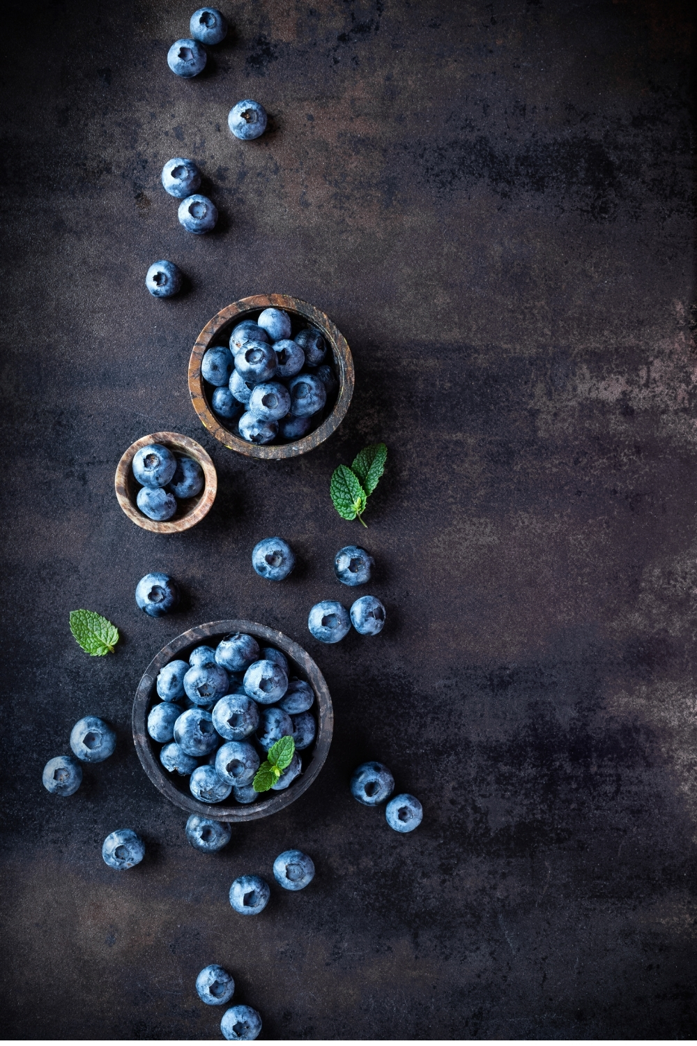blueberry https://haki.gokhan4.dev/wp-content/uploads/2024/07/blueberry.jpg