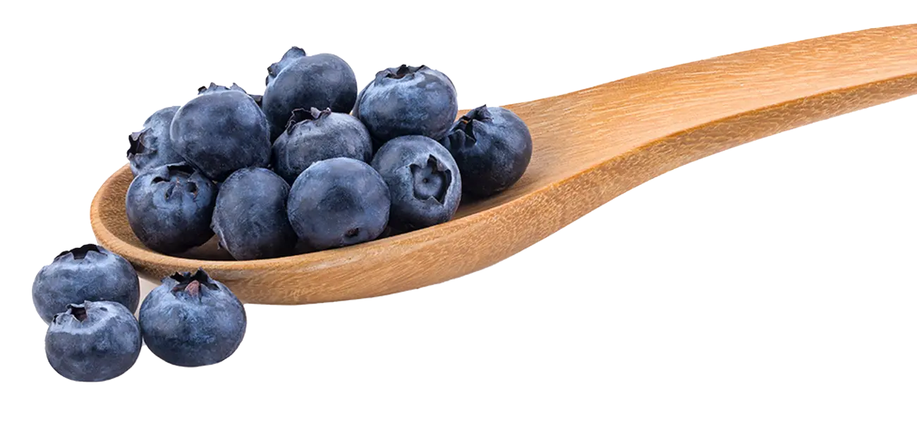 haki-yesil-gida-yaban-mersini-kasik https://haki.gokhan4.dev/wp-content/uploads/2024/07/haki-yesil-gida-yaban-mersini-kasik.webp