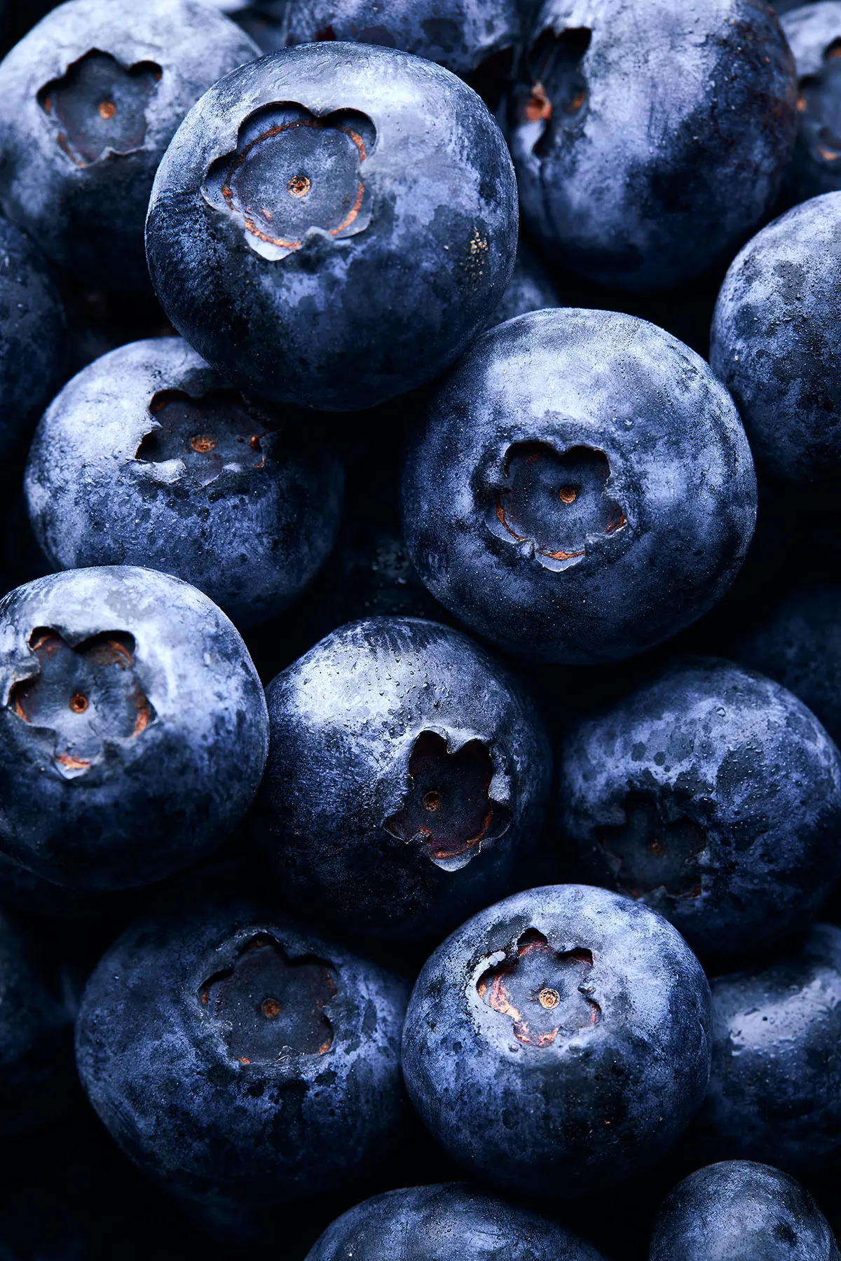 yaban-mersini-haki-yesil-gida-1 https://haki.gokhan4.dev/wp-content/uploads/2024/07/yaban-mersini-haki-yesil-gida-1.webp