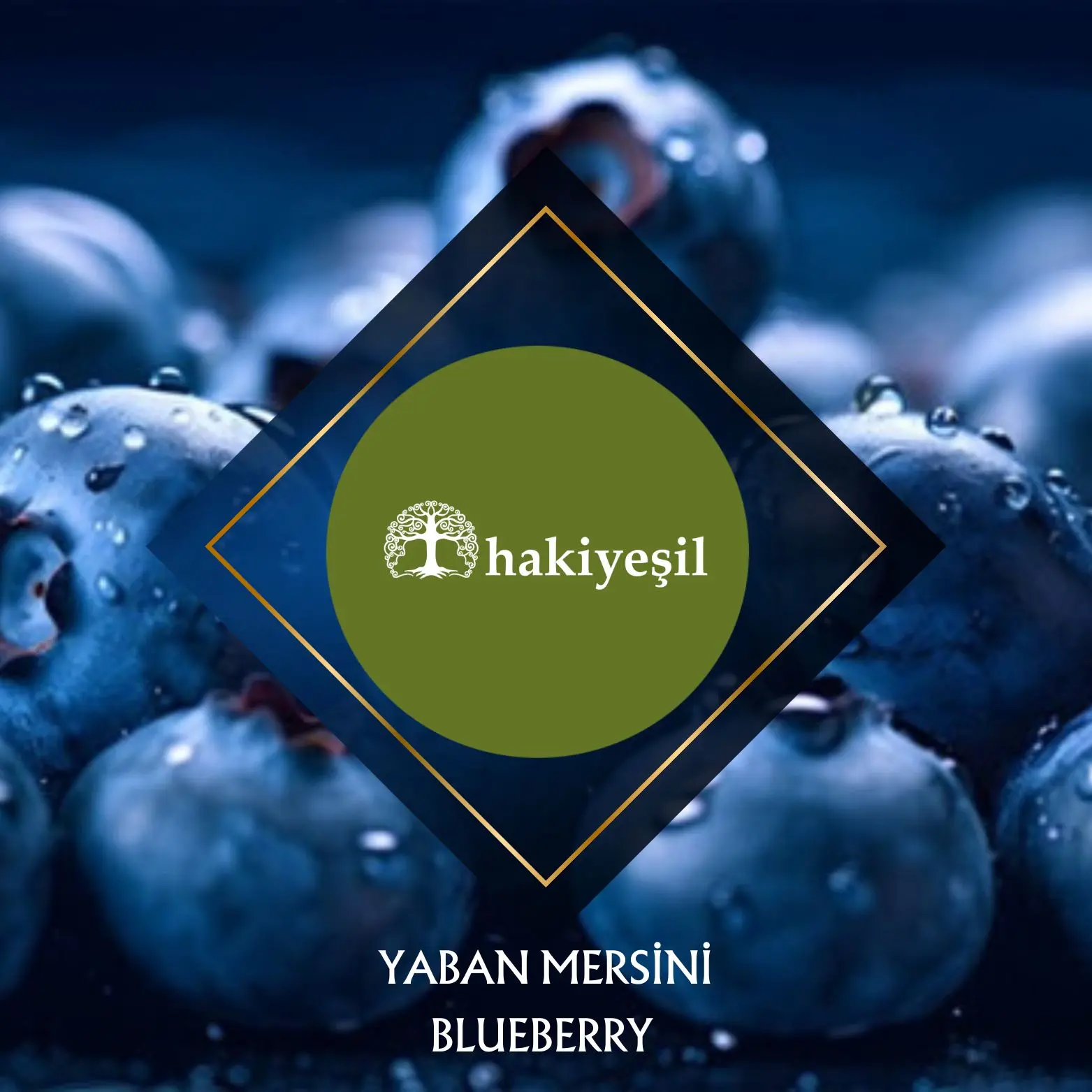 haki-yesil-gida-2 https://haki.gokhan4.dev/wp-content/uploads/2024/08/haki-yesil-gida-2.webp