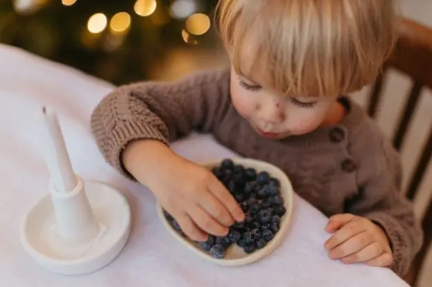 yaban-mersini-3 https://haki.gokhan4.dev/wp-content/uploads/2024/08/yaban-mersini-3.webp